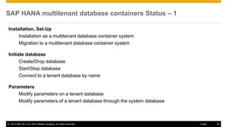 Db Container Setup SAP HANA SPS09 - Multitenant Database Containers | PDF