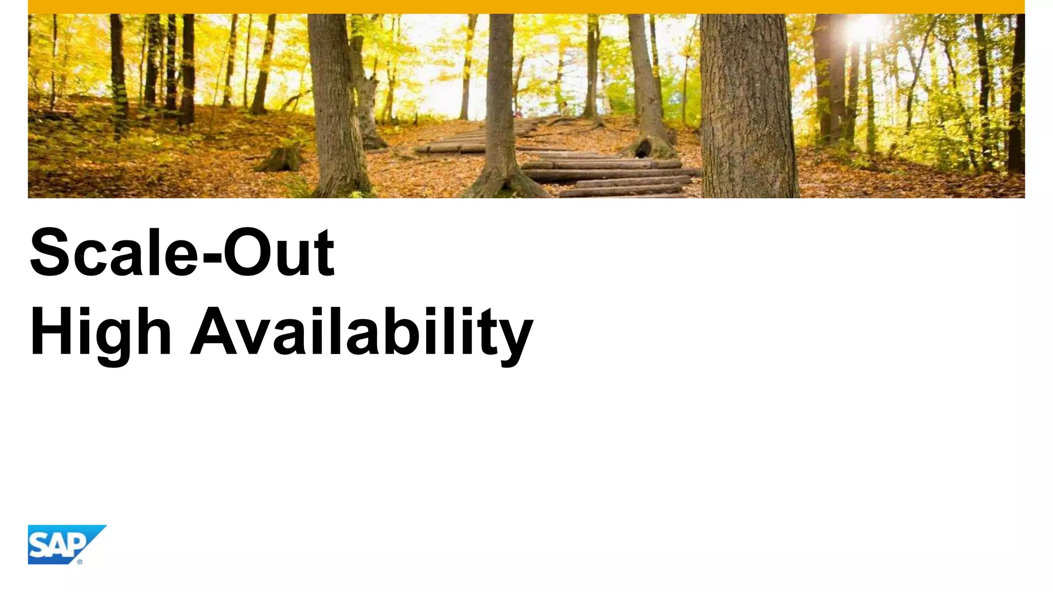 Scale-Out
High Availability
 