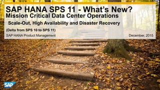 SAP HANA Product Management December, 2015
(Delta from SPS 10 to SPS 11)
SAP HANA SPS 11 - What’s New?
Mission Critical Data Center Operations
Scale-Out, High Availability and Disaster Recovery
 