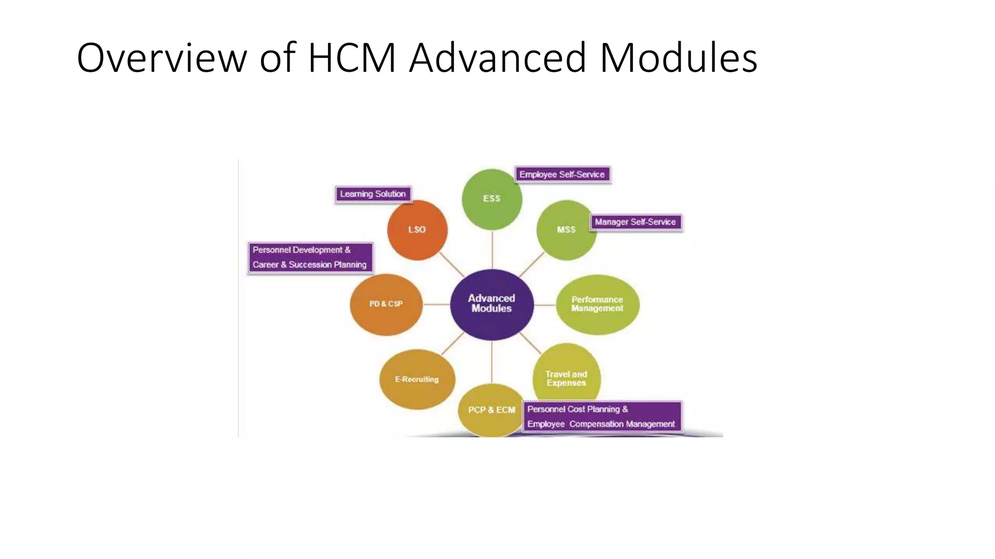 Overview of HCM Advanced Modules
 
