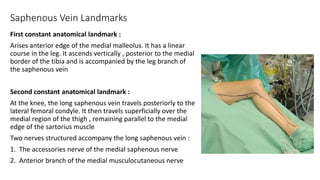 Saphenous Vein Landmarks
First constant anatomical landmark :
Arises anterior edge of the medial malleolus. It has a linear
course in the leg. It ascends vertically , posterior to the medial
border of the tibia and is accompanied by the leg branch of
the saphenous vein
Second constant anatomical landmark :
At the knee, the long saphenous vein travels posteriorly to the
lateral femoral condyle. It then travels superficially over the
medial region of the thigh , remaining parallel to the medial
edge of the sartorius muscle
Two nerves structured accompany the long saphenous vein :
1. The accessories nerve of the medial saphenous nerve
2. Anterior branch of the medial musculocutaneous nerve
 