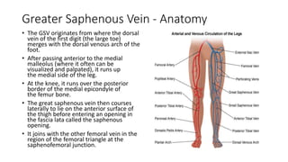 Greater Saphenous Vein - Anatomy
• The GSV originates from where the dorsal
vein of the first digit (the large toe)
merges with the dorsal venous arch of the
foot.
• After passing anterior to the medial
malleolus (where it often can be
visualized and palpated), it runs up
the medial side of the leg.
• At the knee, it runs over the posterior
border of the medial epicondyle of
the femur bone.
• The great saphenous vein then courses
laterally to lie on the anterior surface of
the thigh before entering an opening in
the fascia lata called the saphenous
opening.
• It joins with the other femoral vein in the
region of the femoral triangle at the
saphenofemoral junction.
 