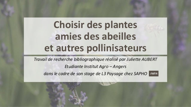 Choisir des plantes
amies des abeilles
et autres pollinisateurs
Travail de recherche bibliographique réalisé par Juliette AUBERT
Etudiante Institut Agro – Angers
dans le cadre de son stage de L3 Paysage chez SAPHO
 