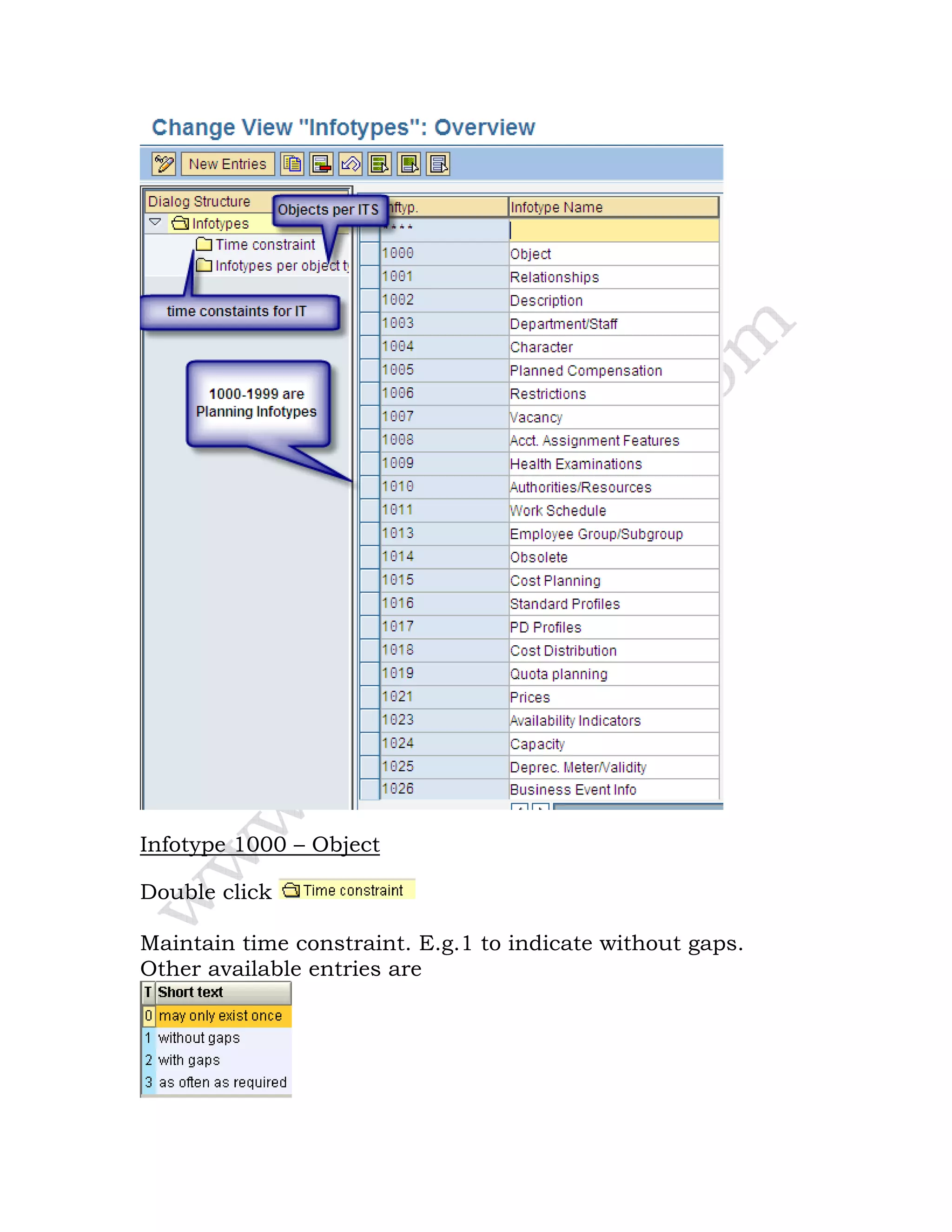 Infotype 1000 – Object
Double click
Maintain time constraint. E.g.1 to indicate without gaps.
Other available entries are
 