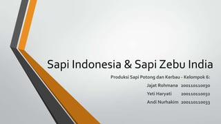 Sapi Indonesia & Sapi Zebu India
            Produksi Sapi Potong dan Kerbau - Kelompok 6:
                            Jajat Rohmana 200110110030
                            Yeti Haryati   200110110032
                            Andi Nurhakim 200110110033
 