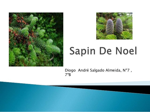 Diogo André Salgado Almeida, Nº7 , 
7ºB 
 