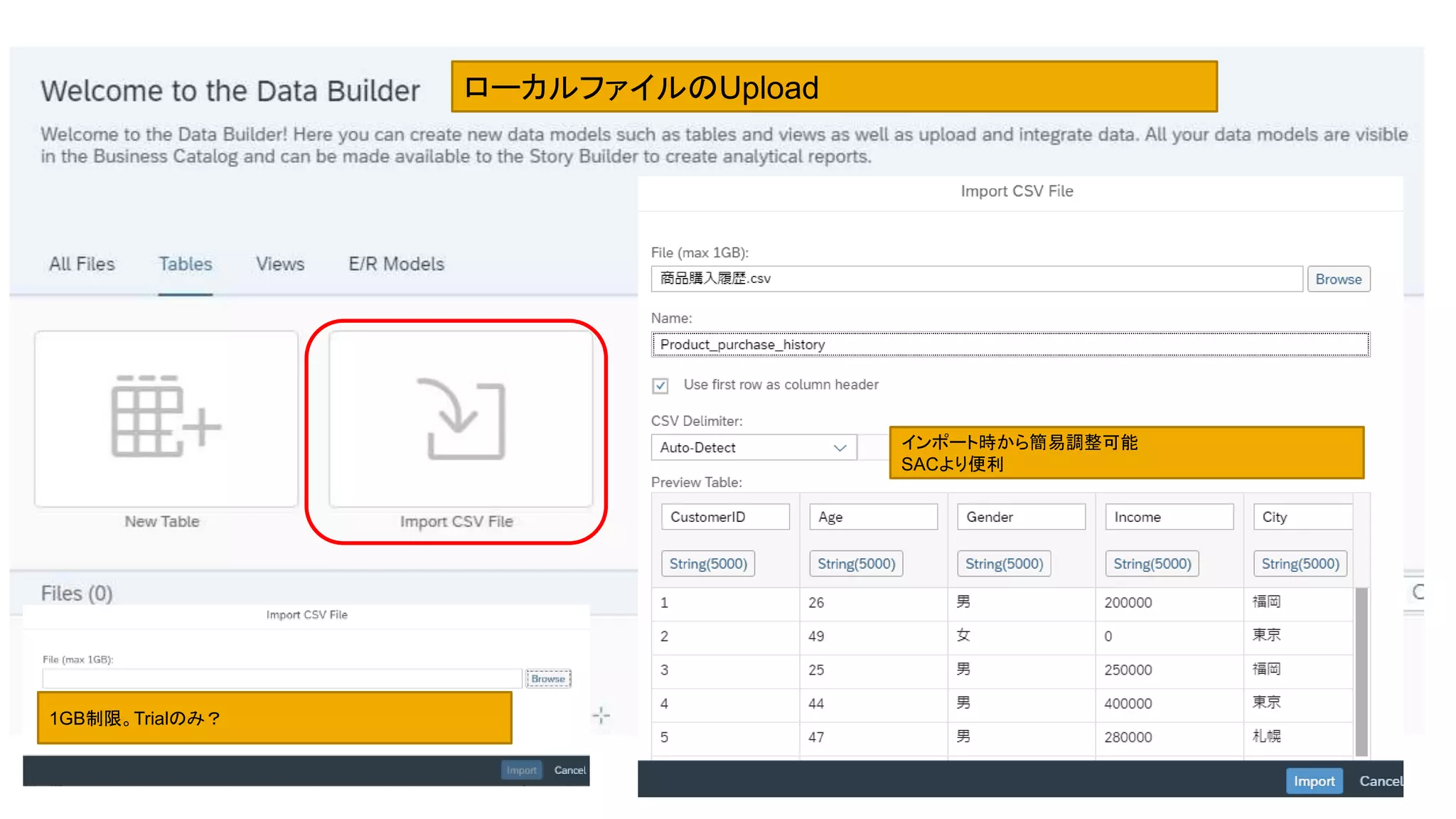 15
1GB制限。Trialのみ？
インポート時から簡易調整可能
SACより便利
ローカルファイルのUpload
 