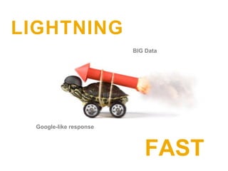 LIGHTNING
                         BIG Data




  Google-like response



                            FAST
 