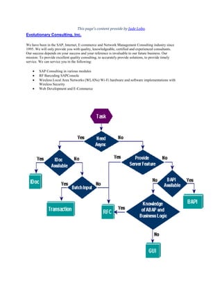 Sap interface overview | DOCX