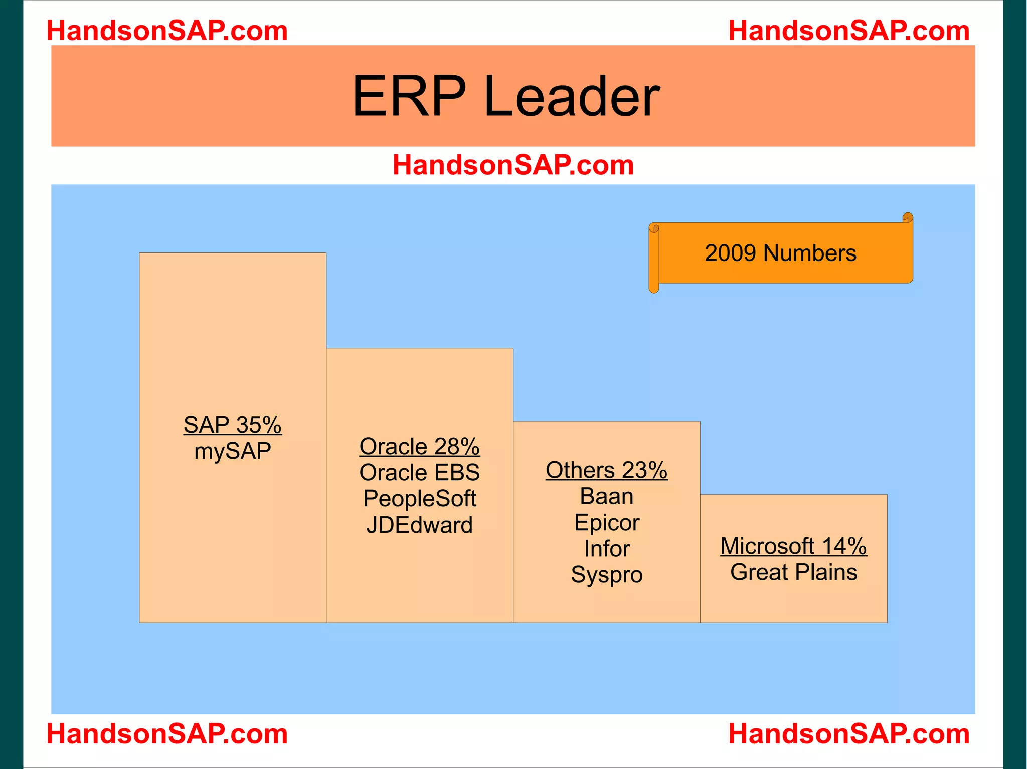 ERP Leader 2009 Numbers