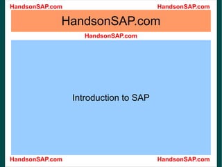 HandsonSAP.com Introduction to SAP 