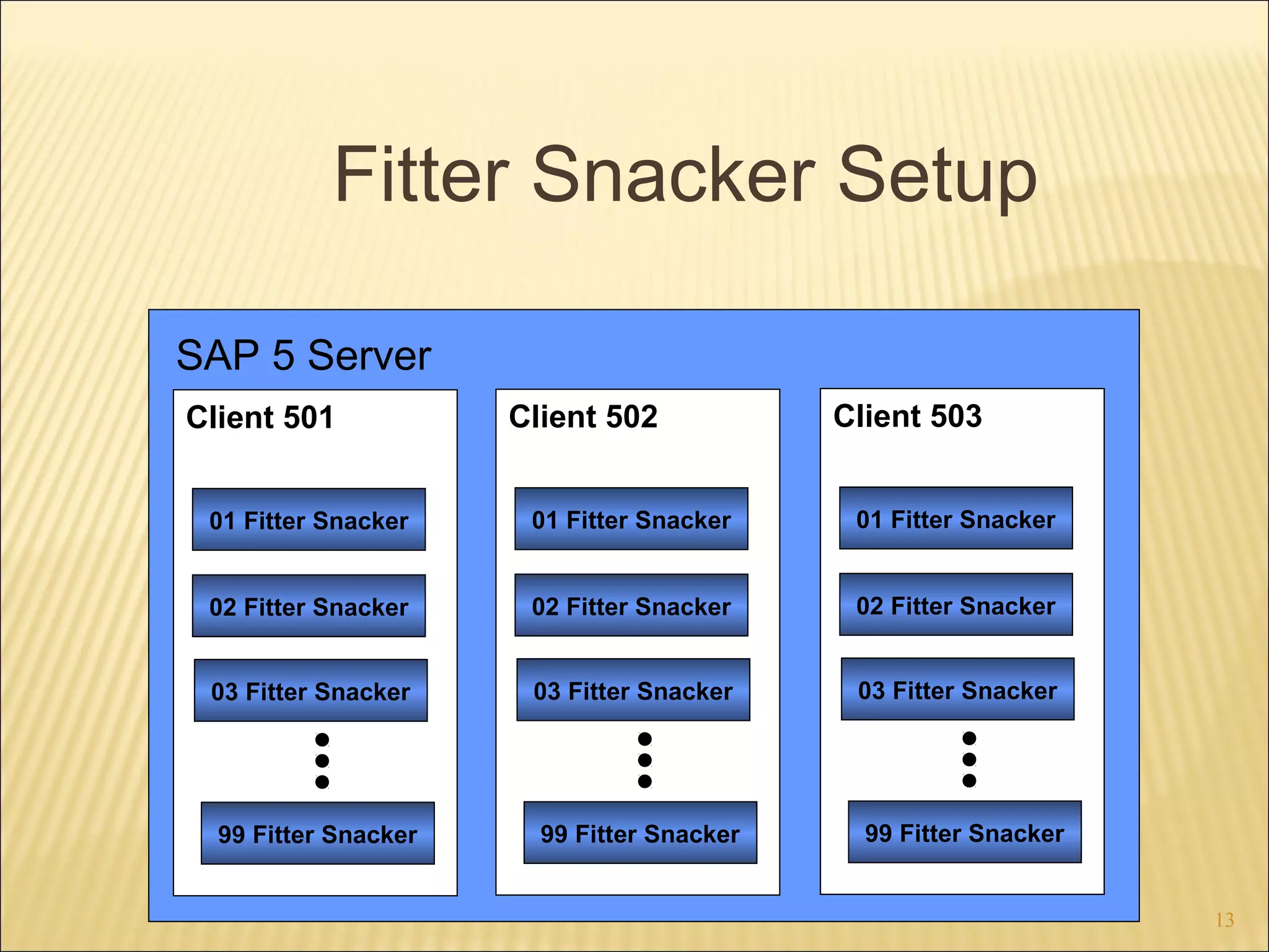 Fitter Snacker Setup
SAP 5 Server
Client 501

Client 502

Client 503

01 Fitter Snacker

01 Fitter Snacker

01 Fitter Snacker

02 Fitter Snacker

02 Fitter Snacker

02 Fitter Snacker

03 Fitter Snacker

03 Fitter Snacker

03 Fitter Snacker

99 Fitter Snacker

99 Fitter Snacker

99 Fitter Snacker
13

 