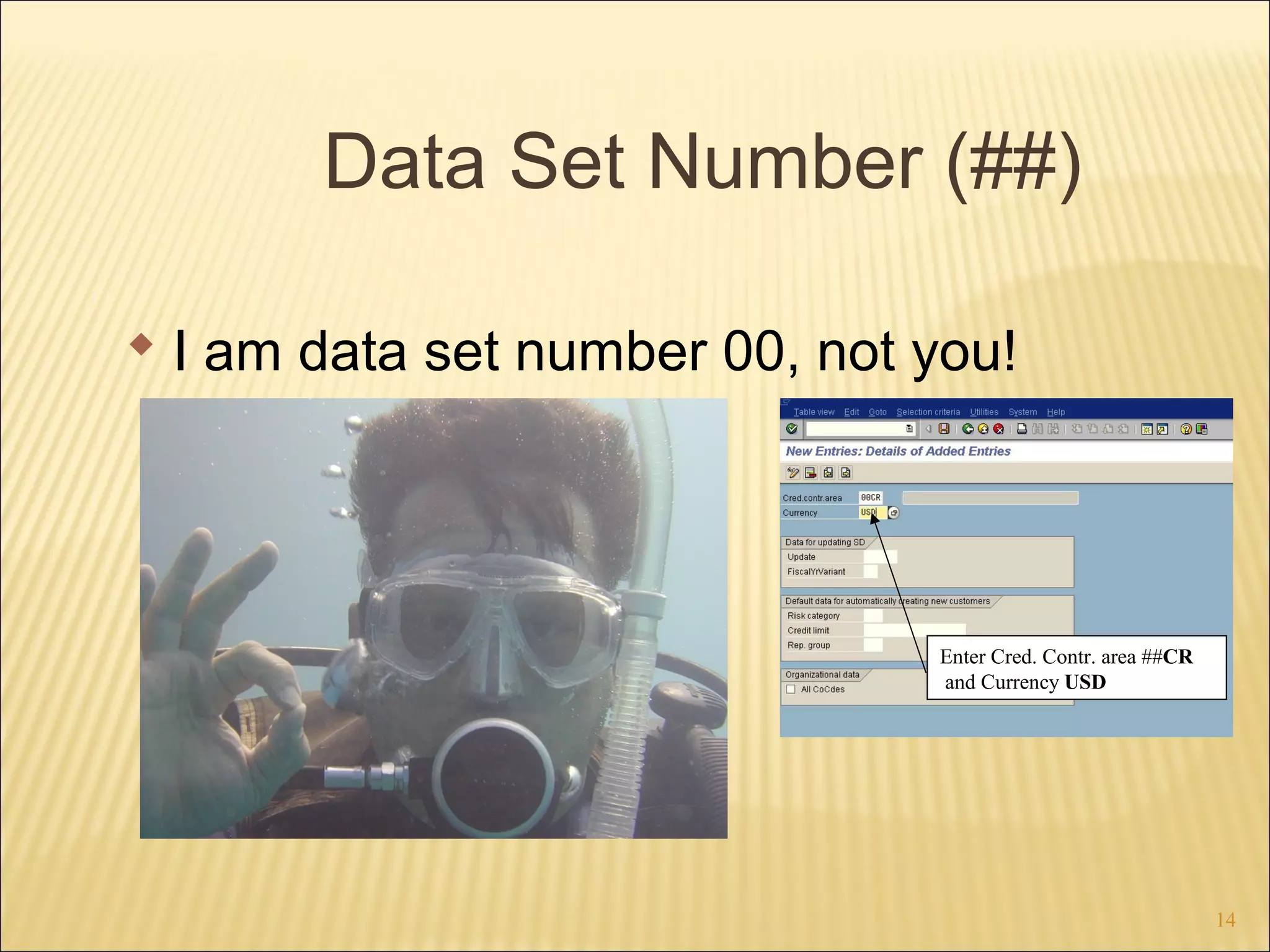 Data Set Number (##)
 I am data set number 00, not you!

Enter Cred. Contr. area ##CR
and Currency USD

14

 