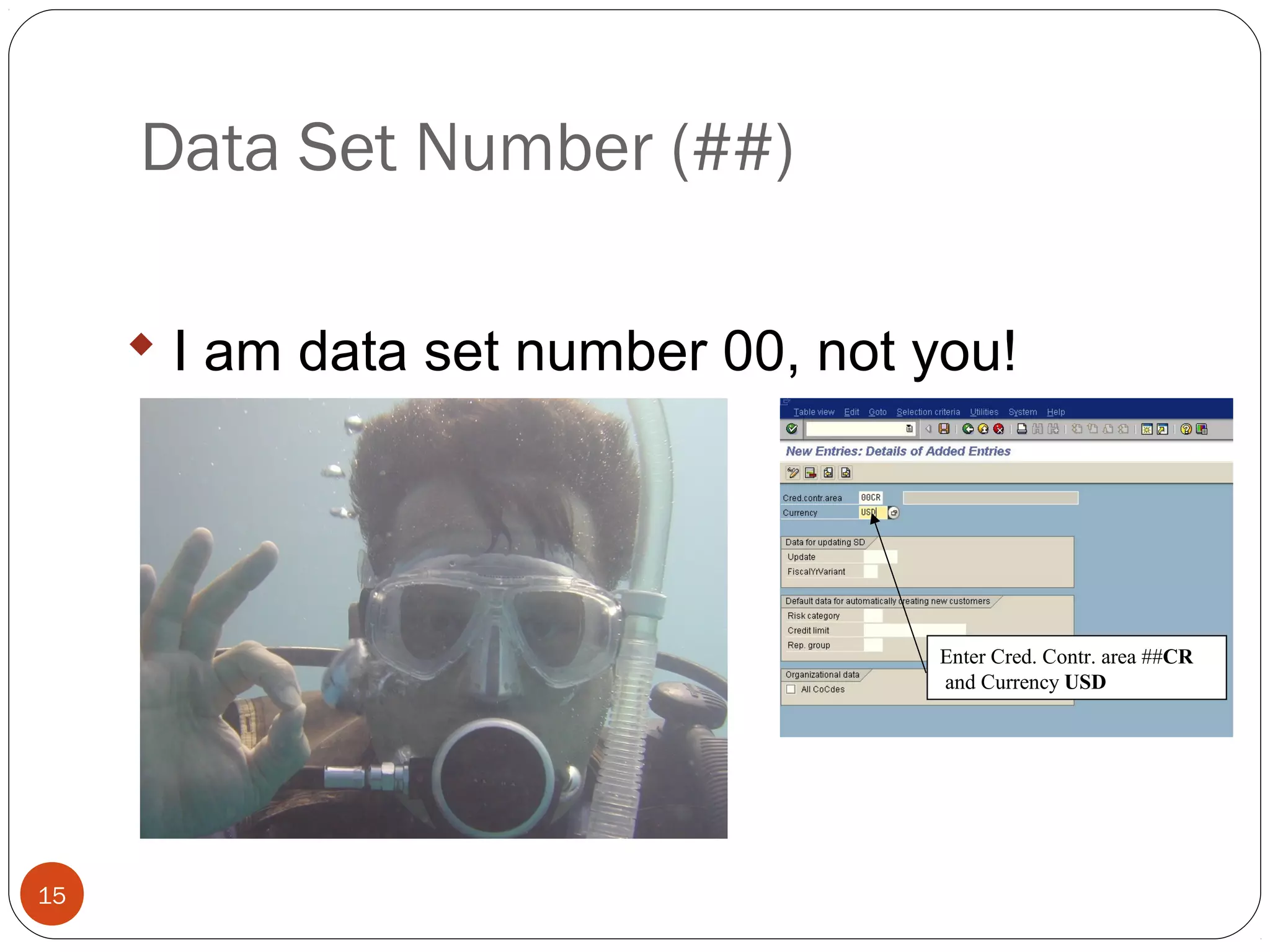 © 2008 by SAP AG. All rights reserved.15
 I am data set number 00, not you!
Enter Cred. Contr. area ##CR
and Currency USD
Data Set Number (##)
 
