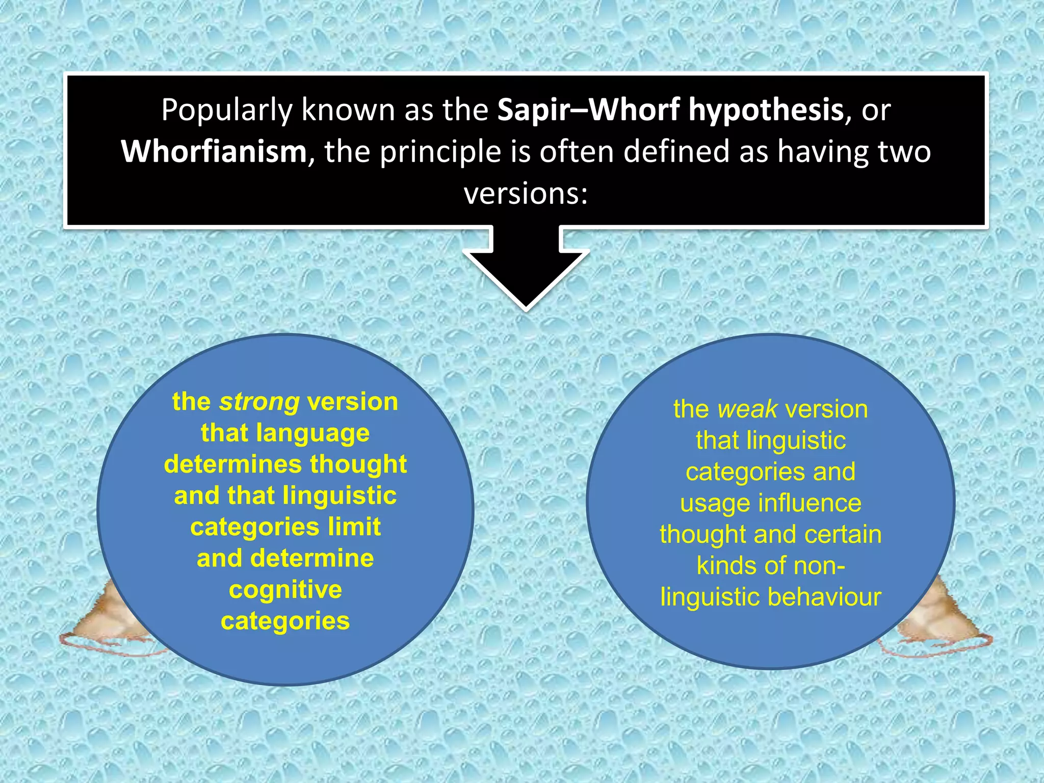 Popularly known as the Sapir–Whorf hypothesis, or
Whorfianism, the principle is often defined as having two
versions:

the strong version
that language
determines thought
and that linguistic
categories limit
and determine
cognitive
categories

the weak version
that linguistic
categories and
usage influence
thought and certain
kinds of nonlinguistic behaviour

 