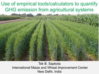 Use of empirical tools/calculators to quantify
GHG emission from agricultural systems
Tek B. Sapkota
International Maize and Wheat Improvement Center
New Delhi, India
 