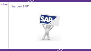 Wat doet SAP?
 