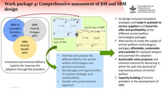 Chăn-hênh: Sustainable Animal Productivity for Livelihoods, Nutrition and Gender inclusion (SAPLING)