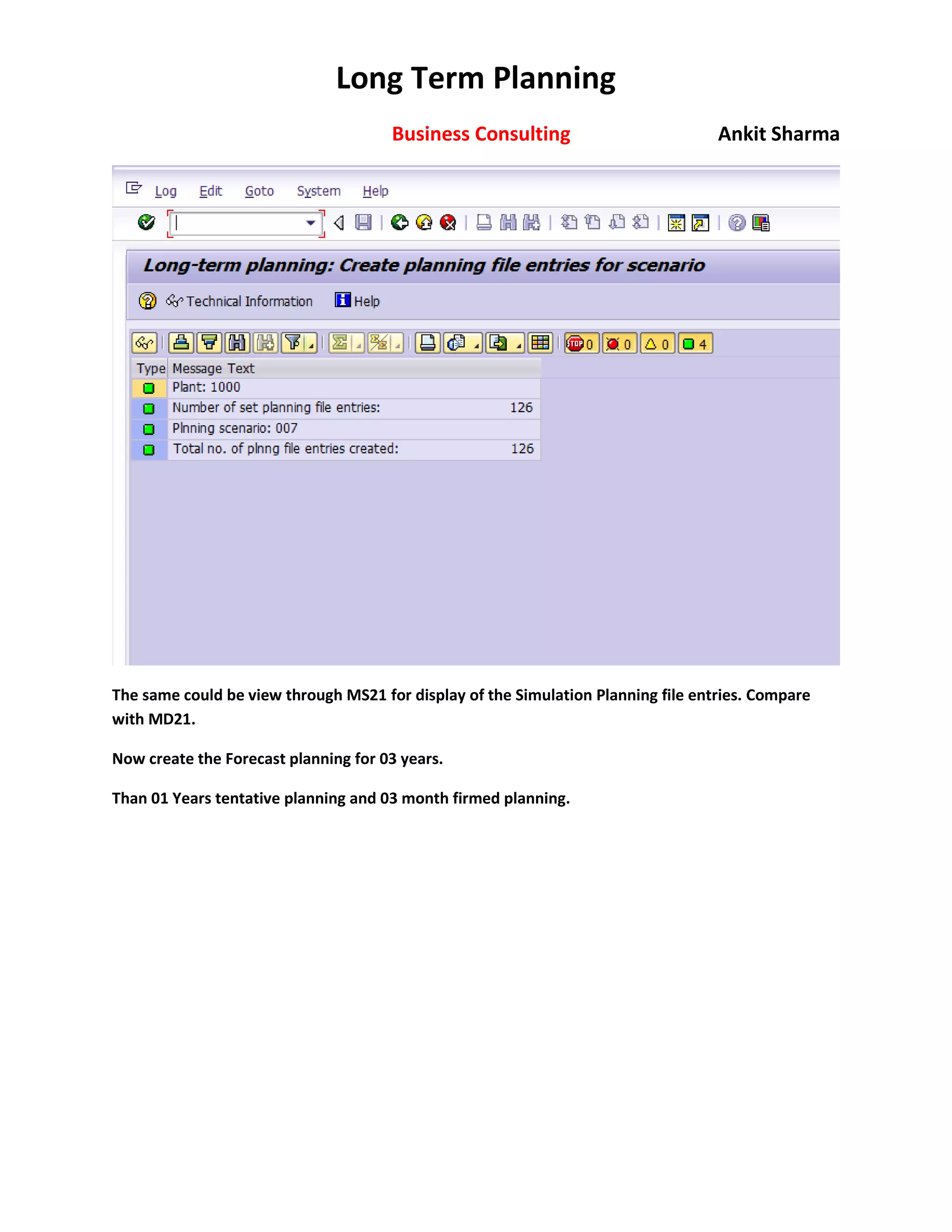 SAP Long Term PLANNING | PDF