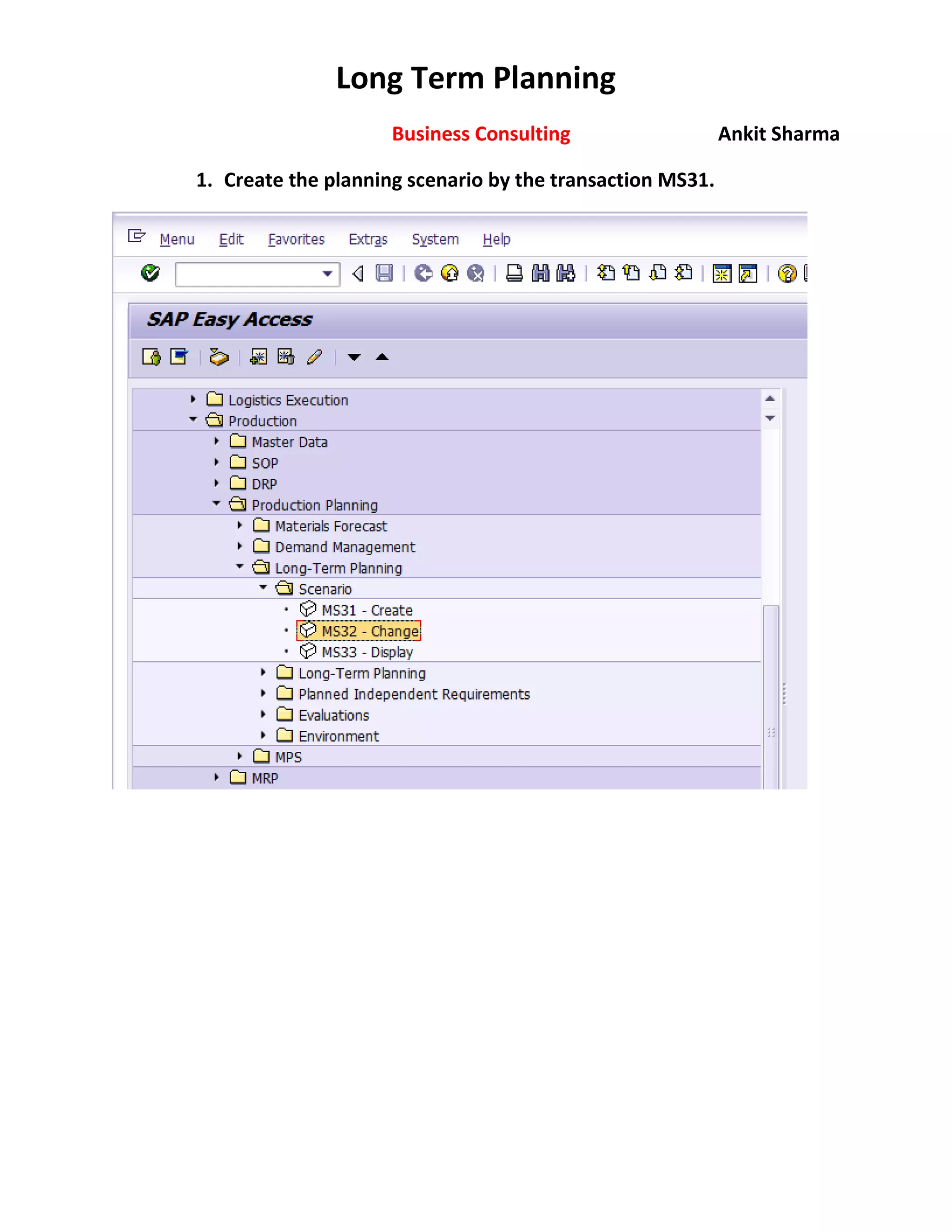 SAP Long Term PLANNING | PDF