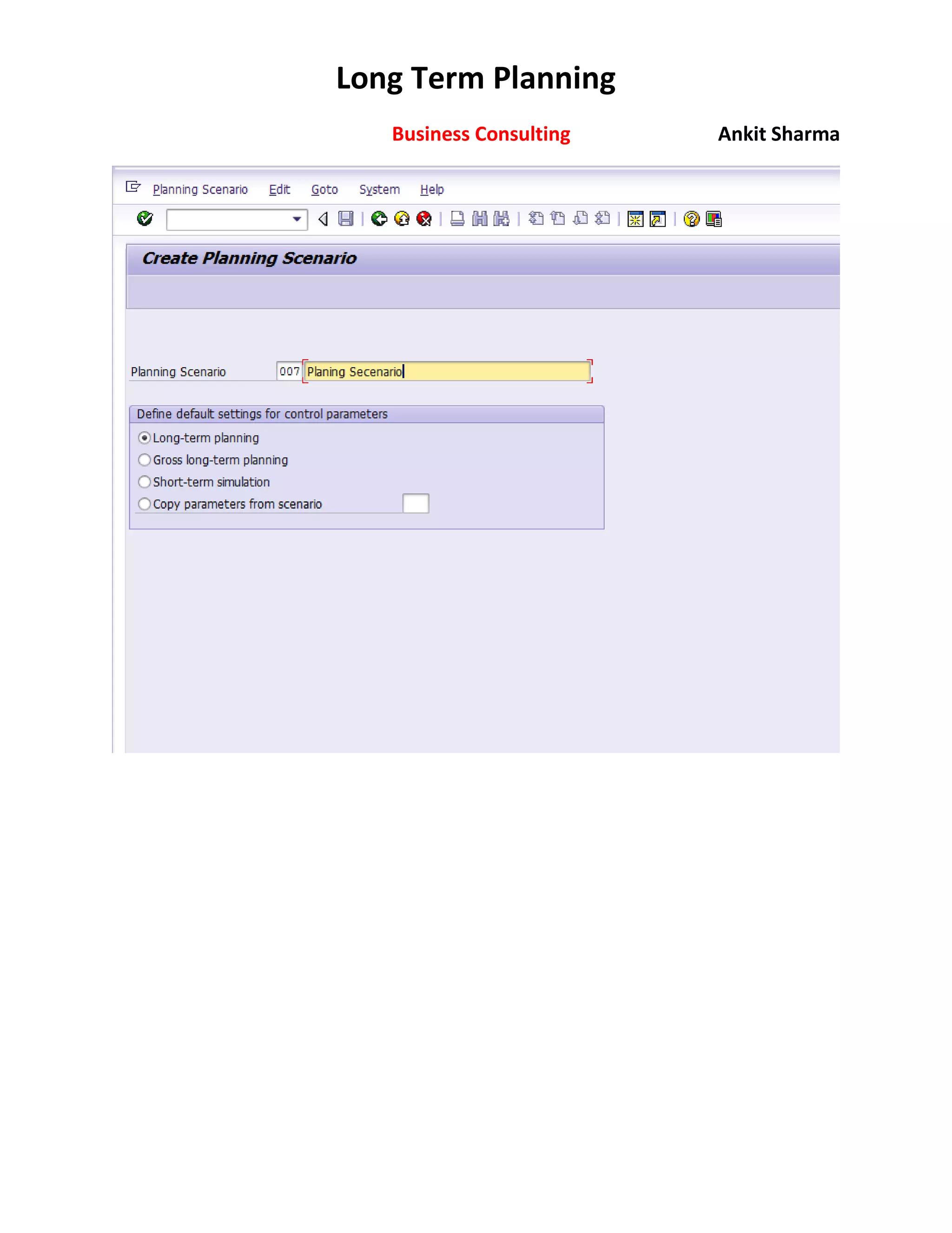 SAP Long Term PLANNING | PDF