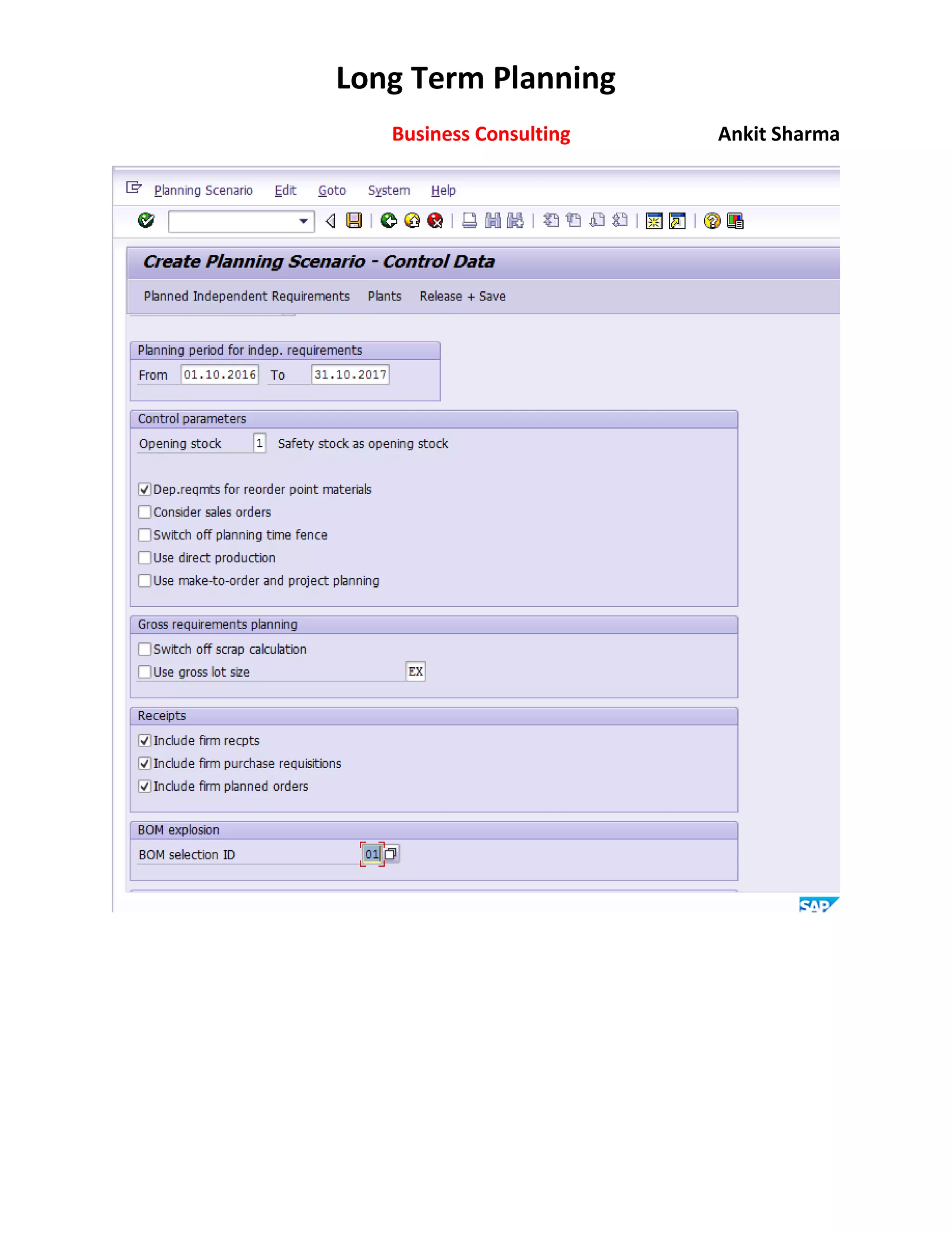 SAP Long Term PLANNING | PDF