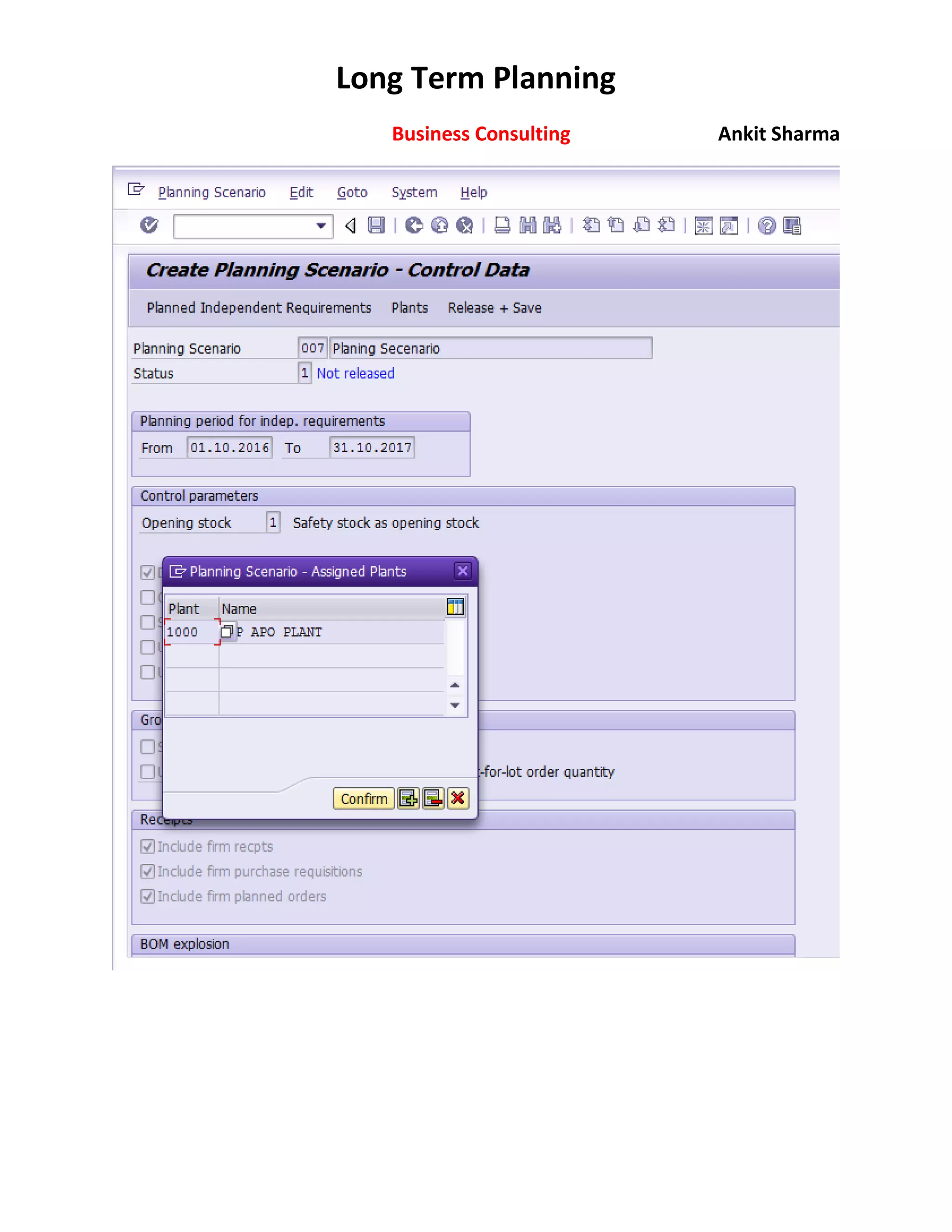 SAP Long Term PLANNING | PDF