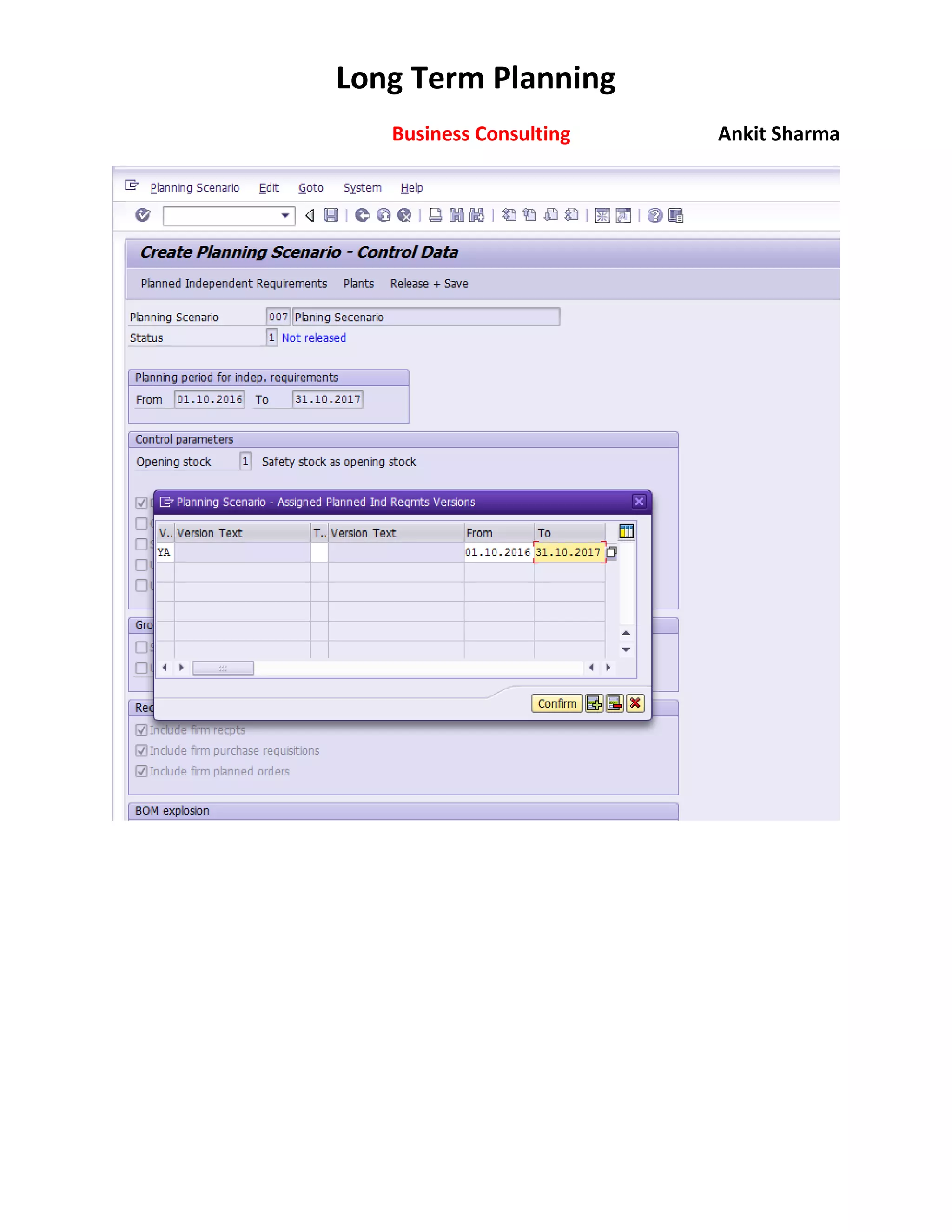 SAP Long Term PLANNING | PDF