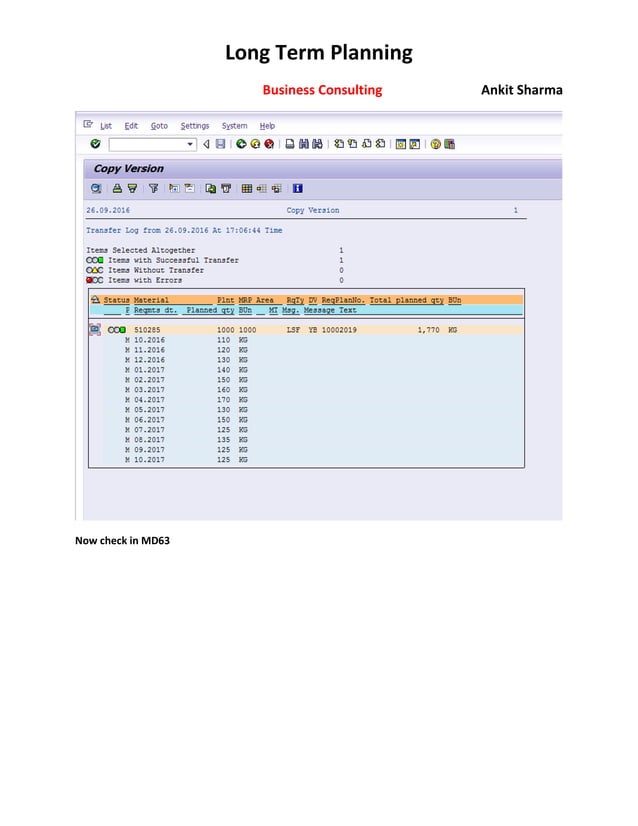 SAP Long Term PLANNING | PDF