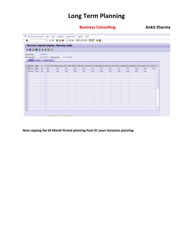 SAP Long Term PLANNING | PDF