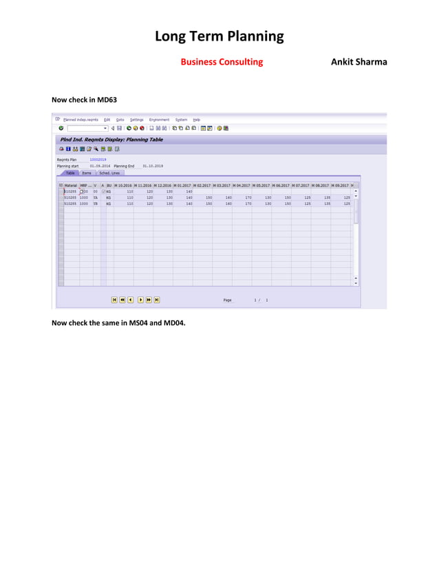 SAP Long Term PLANNING | PDF