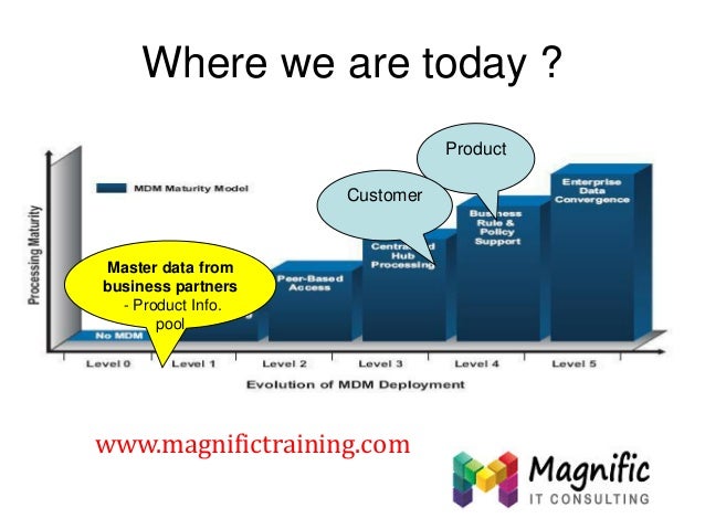 sap master data management tutorial ppt