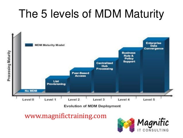 sap master data management tutorial ppt
