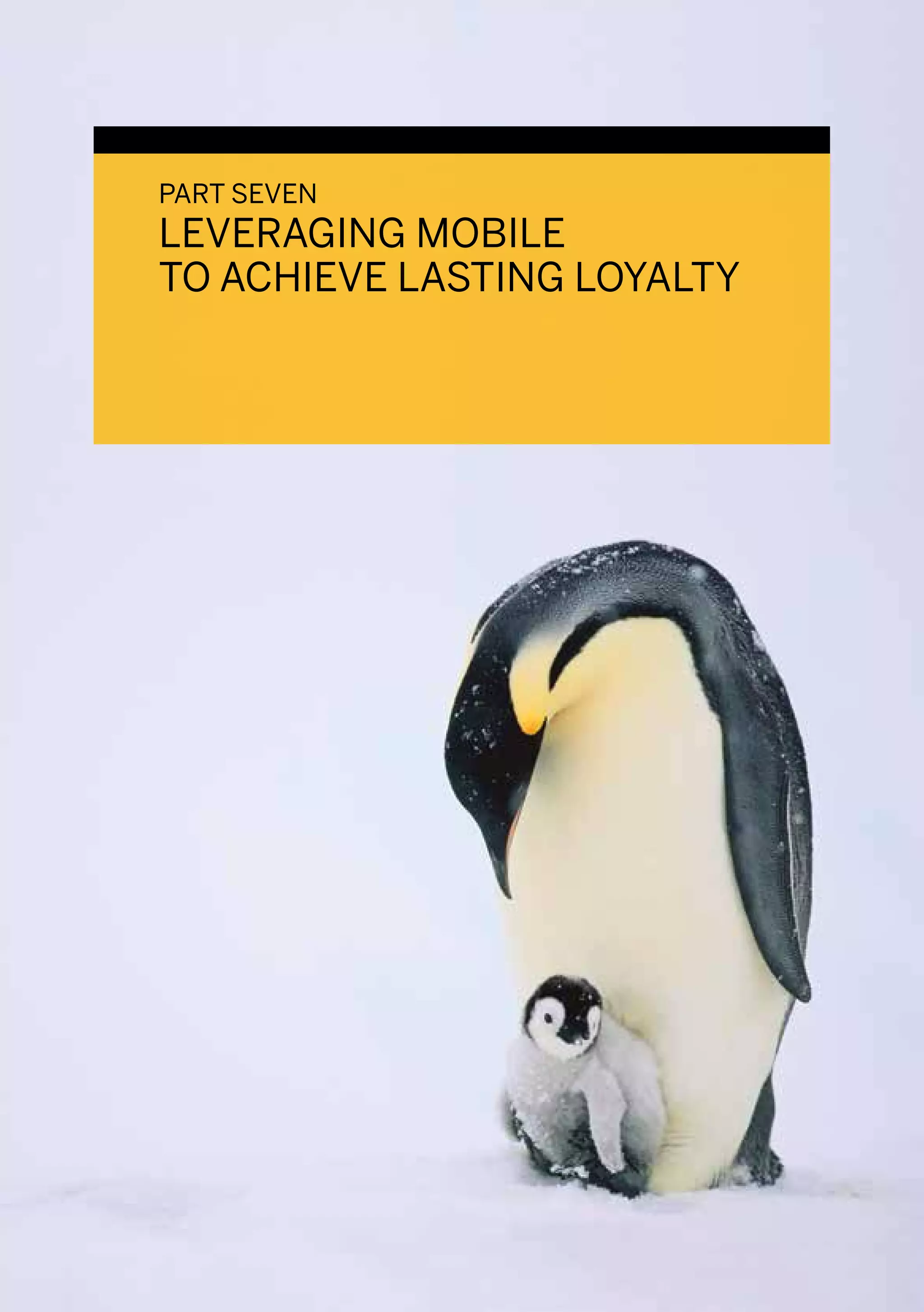 PART SEVEN
      LEVERAGING MOBILE
      TO ACHIEVE LASTING LOYALTY




200
 