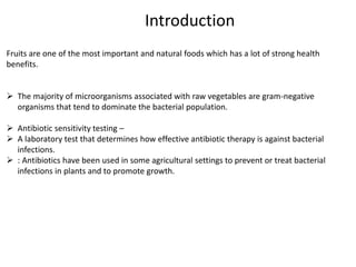 Isolation and characterization of bacteria from fruits and vegetables ...