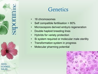 Genetics
           •   18 chromosomes
           •   Self compatible fertilisation > 80%
           •   Microsospore deri...
