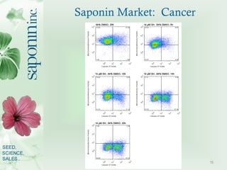 Saponin Market: Cancer




                         16
 