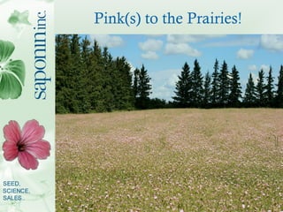 Pink(s) to the Prairies!




        ABIC 2008, Cork Ireland,   2
 