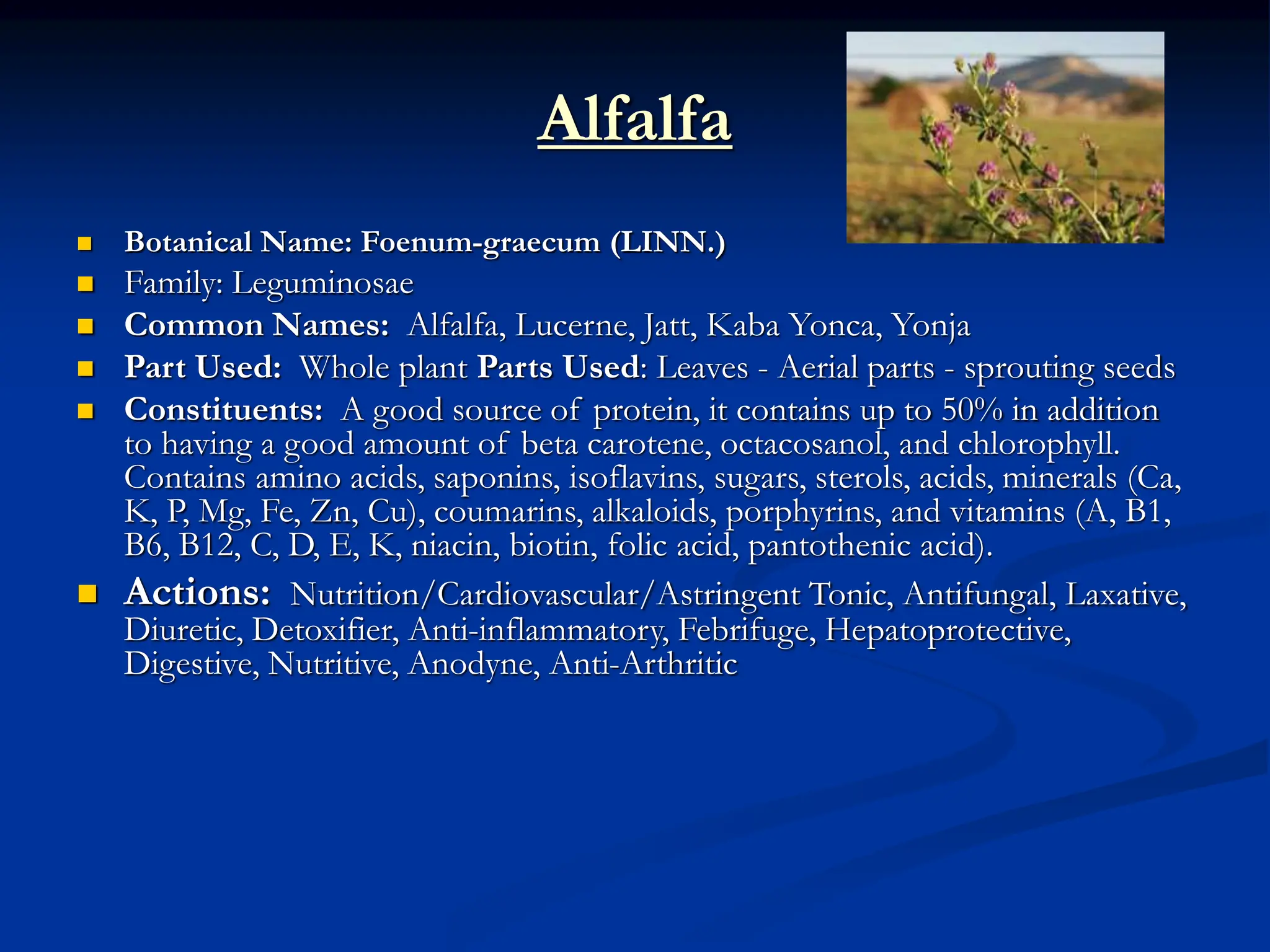 Alfalfa
 Botanical Name: Foenum-graecum (LINN.)
 Family: Leguminosae
 Common Names: Alfalfa, Lucerne, Jatt, Kaba Yonca, Yonja
 Part Used: Whole plant Parts Used: Leaves - Aerial parts - sprouting seeds
 Constituents: A good source of protein, it contains up to 50% in addition
to having a good amount of beta carotene, octacosanol, and chlorophyll.
Contains amino acids, saponins, isoflavins, sugars, sterols, acids, minerals (Ca,
K, P, Mg, Fe, Zn, Cu), coumarins, alkaloids, porphyrins, and vitamins (A, B1,
B6, B12, C, D, E, K, niacin, biotin, folic acid, pantothenic acid).
 Actions: Nutrition/Cardiovascular/Astringent Tonic, Antifungal, Laxative,
Diuretic, Detoxifier, Anti-inflammatory, Febrifuge, Hepatoprotective,
Digestive, Nutritive, Anodyne, Anti-Arthritic
 