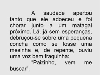A saudade apertou tanto que ele adoeceu e foi chorar junto a um matagal próximo. Lá, já sem esperanças, debruçou-se sobre uma pequena concha como se fosse uma mesinha e, de repente, ouviu uma voz bem fraquinha:  “ Paizinho, vem me buscar”. 
