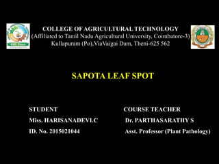 SAPOTA LEAF SPOT
COLLEGE OF AGRICULTURAL TECHNOLOGY
(Affiliated to Tamil Nadu Agricultural University, Coimbatore-3)
Kullapuram (Po),ViaVaigai Dam, Theni-625 562
STUDENT
Miss. HARISANADEVI.C
ID. No. 2015021044
COURSE TEACHER
Dr. PARTHASARATHY S
Asst. Professor (Plant Pathology)
 