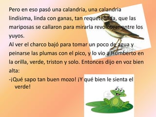 Pero en eso pasó una calandria, una calandria
lindísima, linda con ganas, tan requetelinda, que las
mariposas se callaron para mirarla revolotear entre los
yuyos.
Al ver el charco bajó para tomar un poco de agua y
peinarse las plumas con el pico, y lo vio a Humberto en
la orilla, verde, triston y solo. Entonces dijo en voz bien
alta:
-¡Qué sapo tan buen mozo! ¡Y qué bien le sienta el
   verde!
 