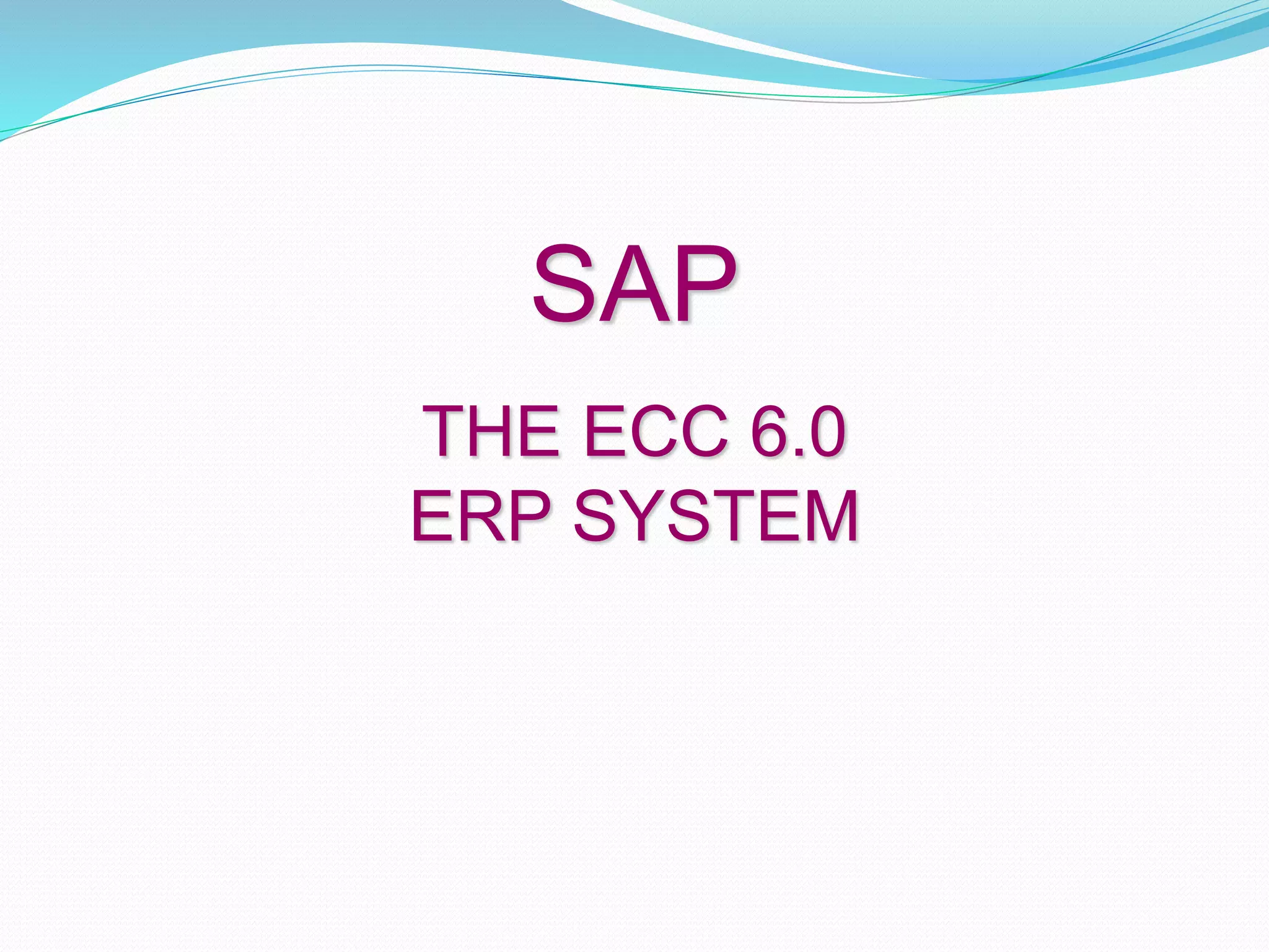 SAP
THE ECC 6.0
ERP SYSTEM
 