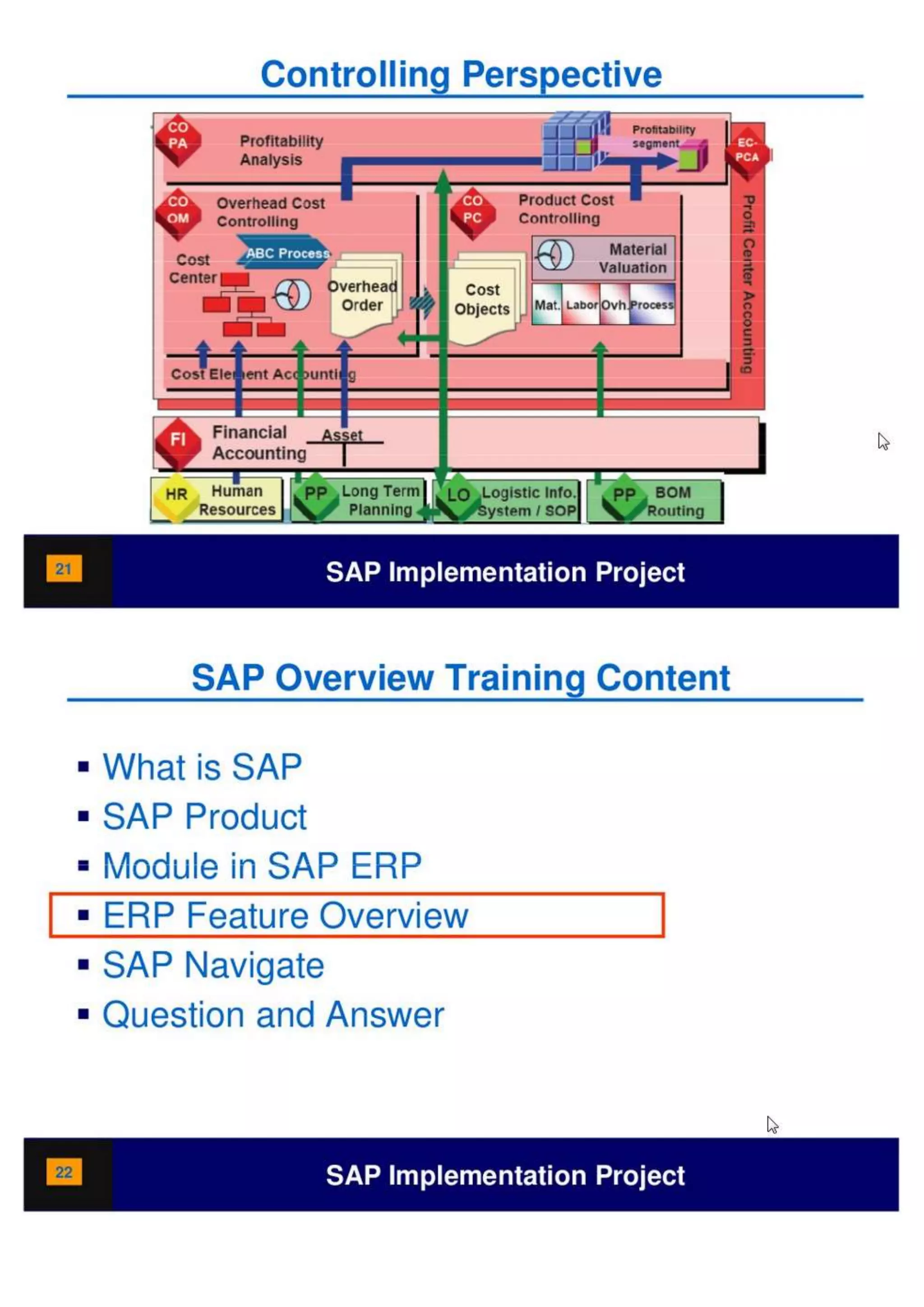 SAP Overview pdf