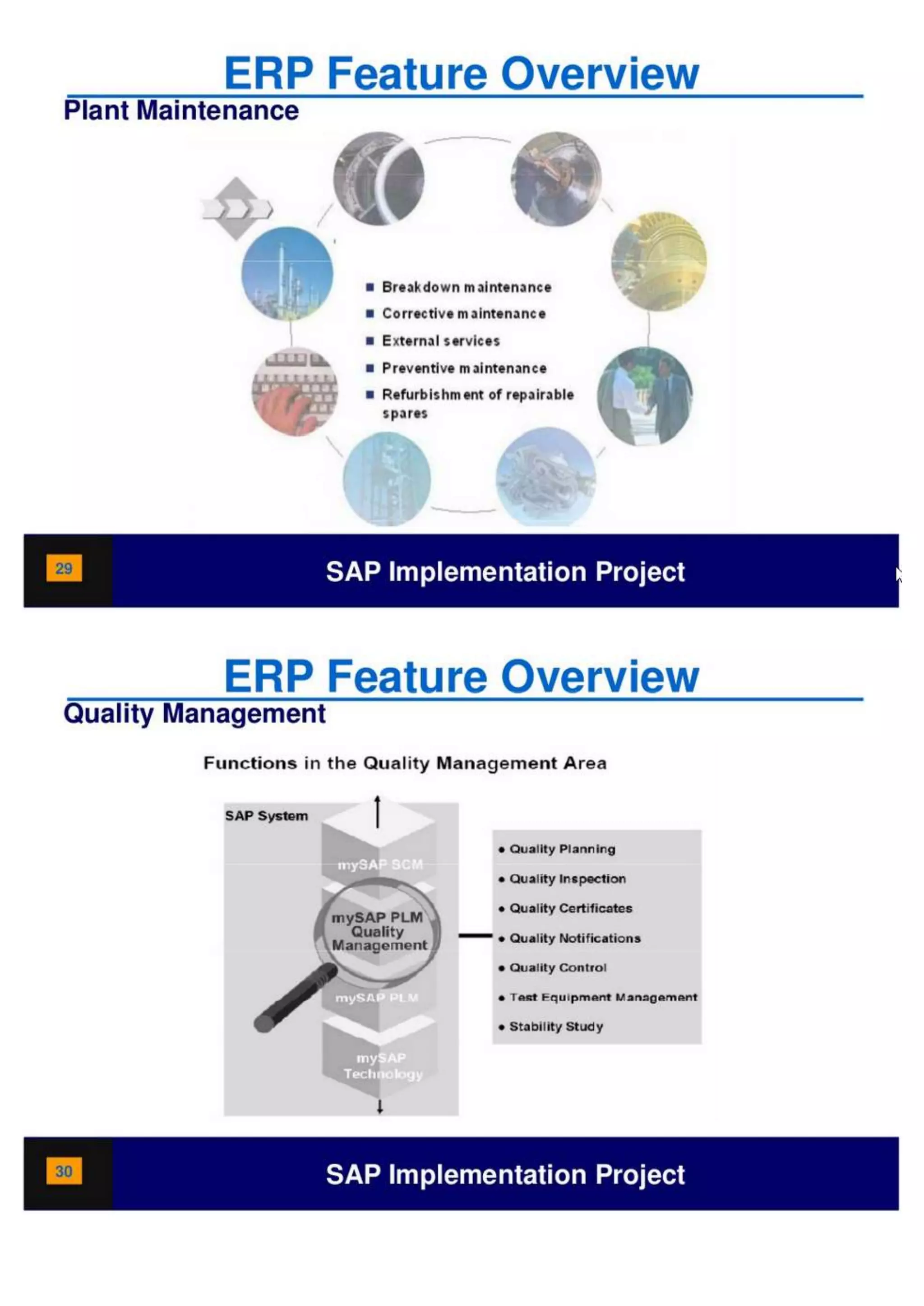 SAP Overview pdf