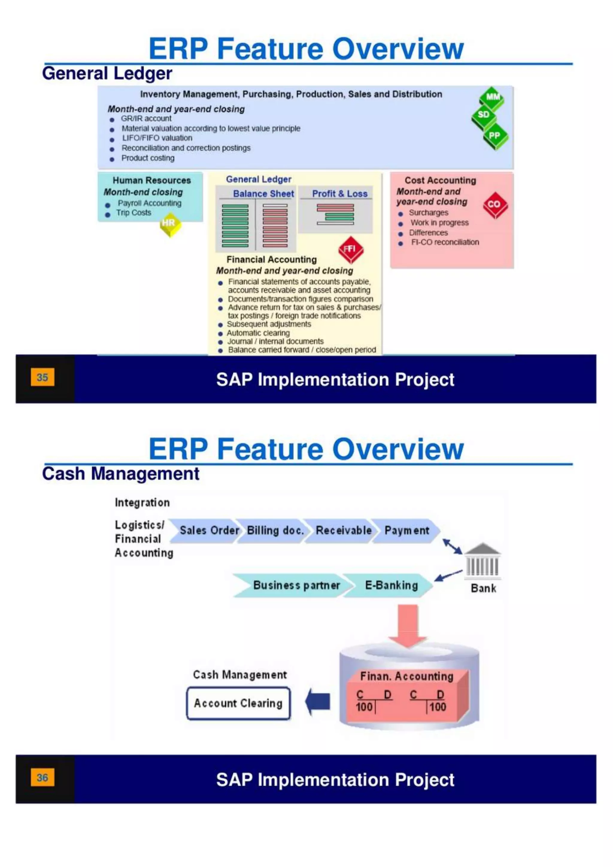 SAP Overview pdf