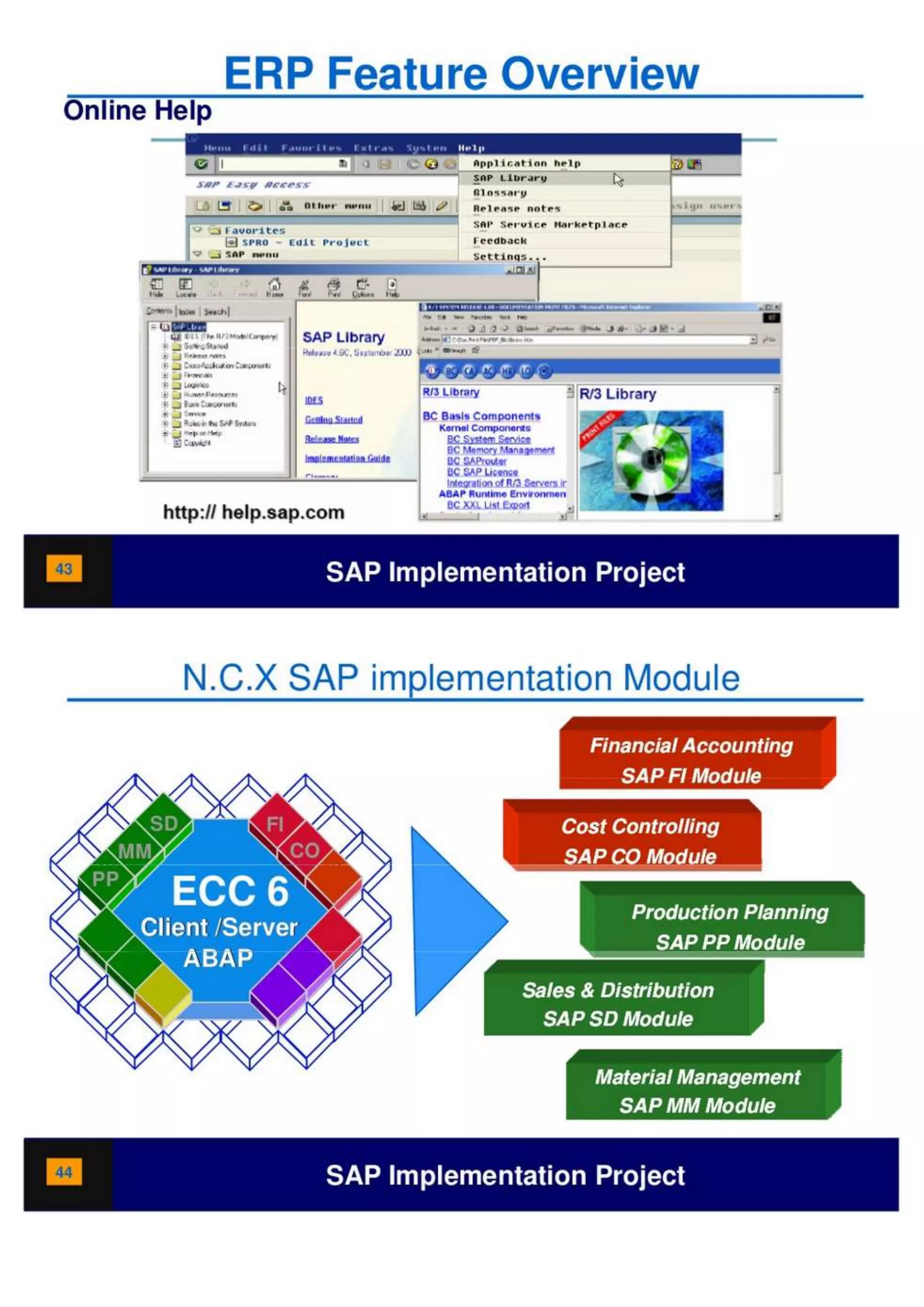 SAP Overview pdf