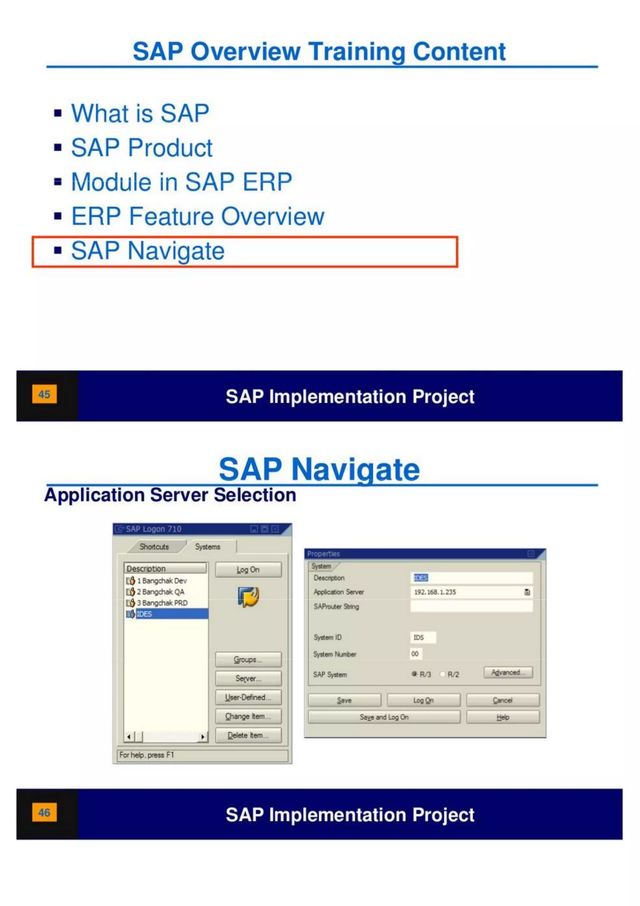 SAP Overview pdf