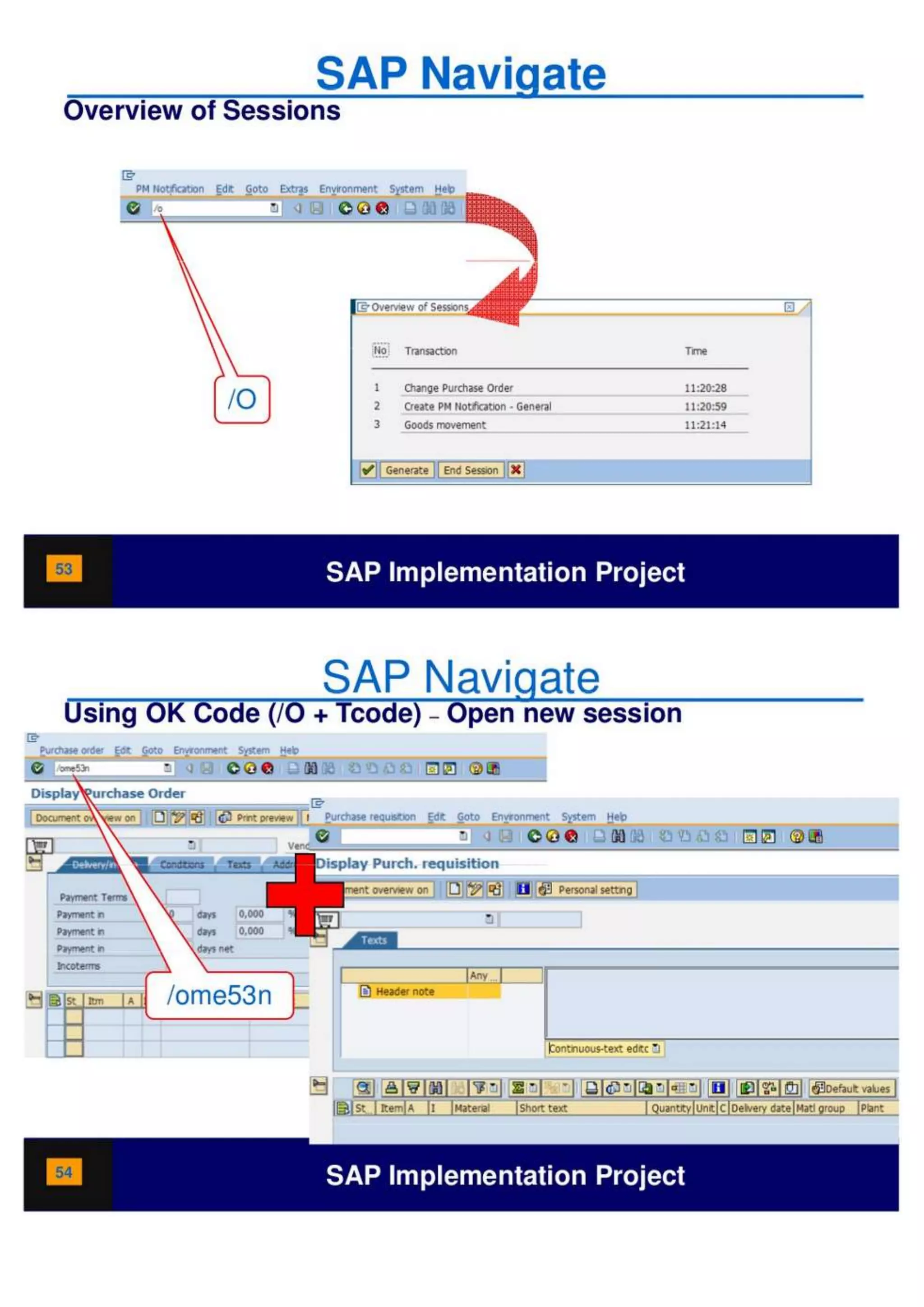 SAP Overview pdf