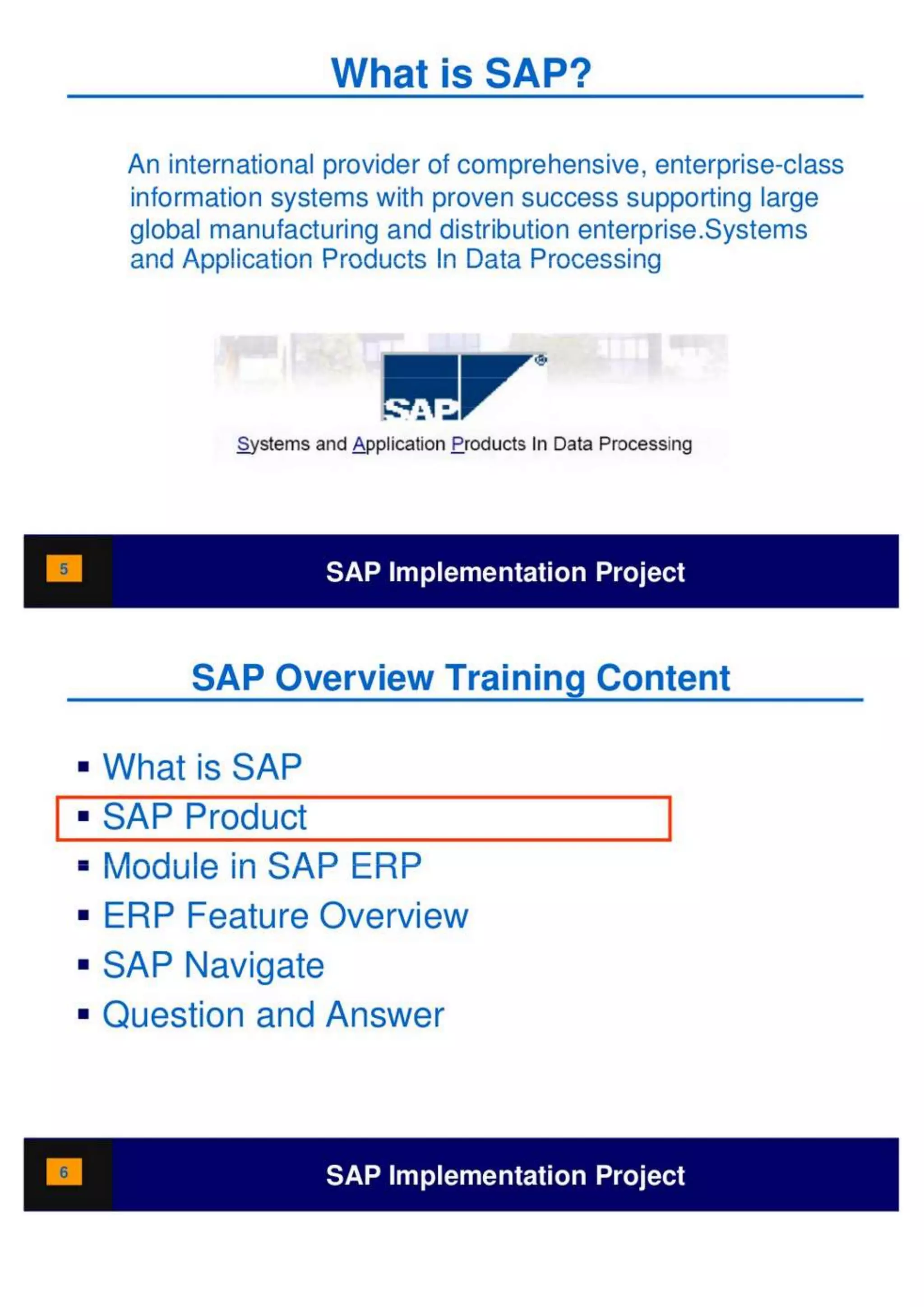 SAP Overview pdf